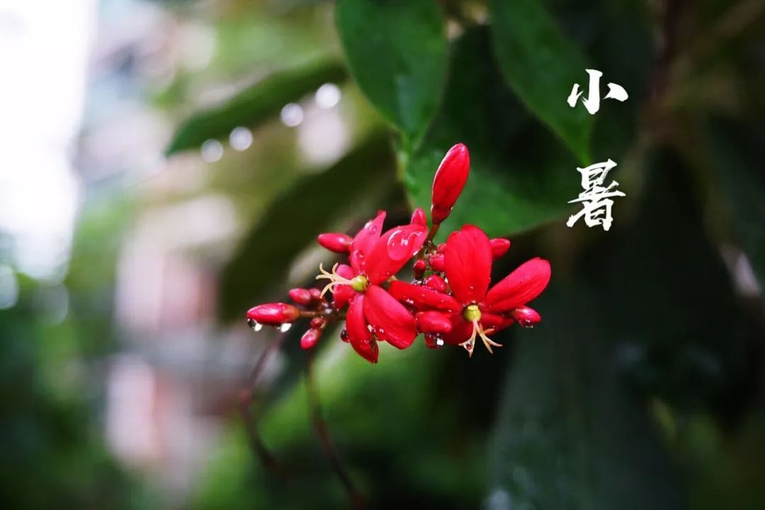 小暑|時光無涯，KA螺旋錐減速機廠家
